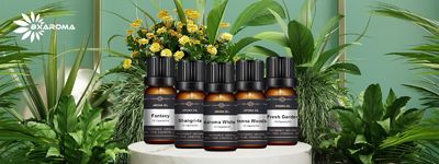 Calidad Máquina difusora de aromas eléctrica fábrica