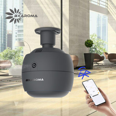 Buen precio El nebulizador eléctrico del Usb del difusor comercial del aroma modificó popular para requisitos particulares en línea