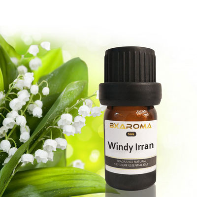 Buen precio Fragancia sostenible 500ml del ambientador de aire del coche de Ilan Aroma Diffuser Essential Oil en línea