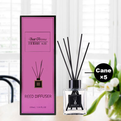 Buen precio Etiqueta privada helada sostenible de Reed Diffuser 100ml del aroma del ODM Geo en línea